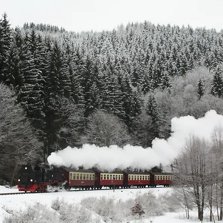 Ferienwohnung im Harz-Haus-Bruns Clausthal-Zellerfeld Exterior foto