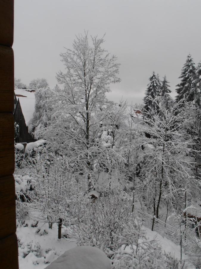 Im Harz-haus-bruns Apartment Clausthal-Zellerfeld