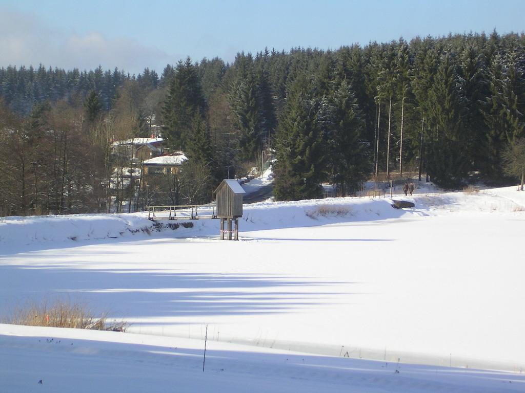 Apartment Im Harz-haus-bruns *