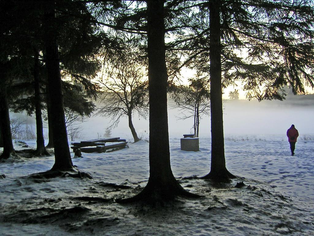 Im Harz-haus-bruns * Clausthal-Zellerfeld
