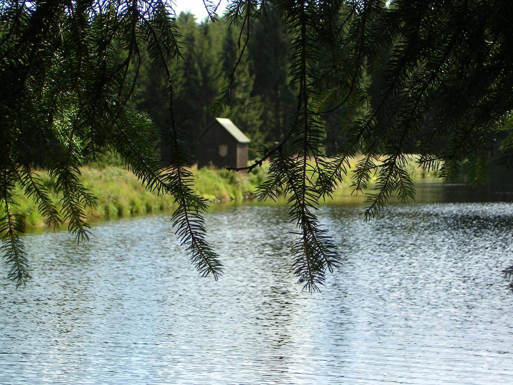 Im Harz-haus-bruns Clausthal-Zellerfeld