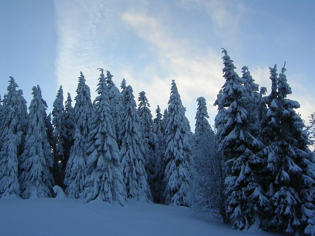 Im Harz-haus-bruns * Clausthal-Zellerfeld