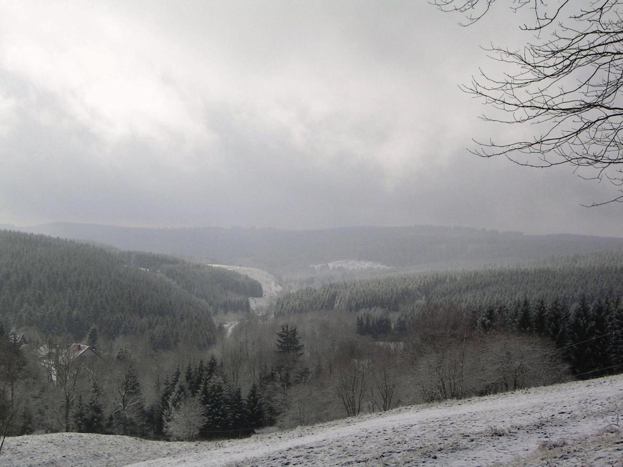 Im Harz-haus-bruns