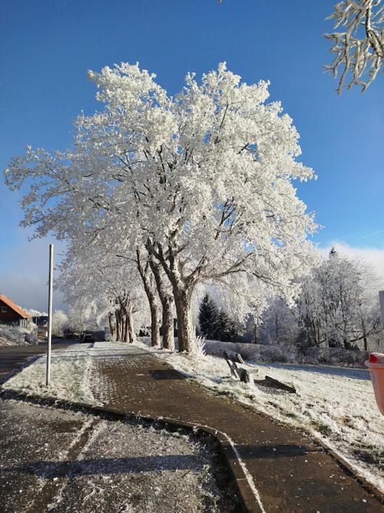 Apartment Im Harz-haus-bruns Clausthal-Zellerfeld