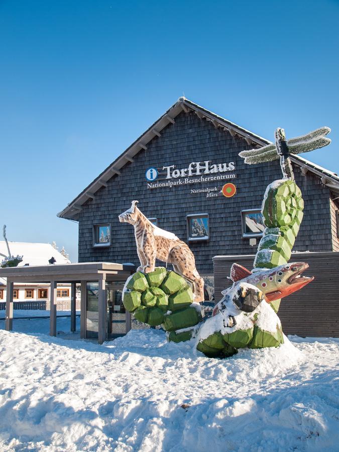 Im Harz-haus-bruns * Clausthal-Zellerfeld