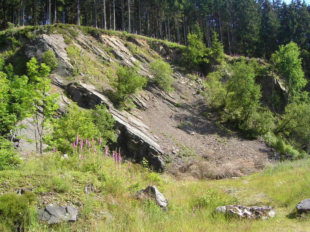 Apartment Im Harz-haus-bruns *